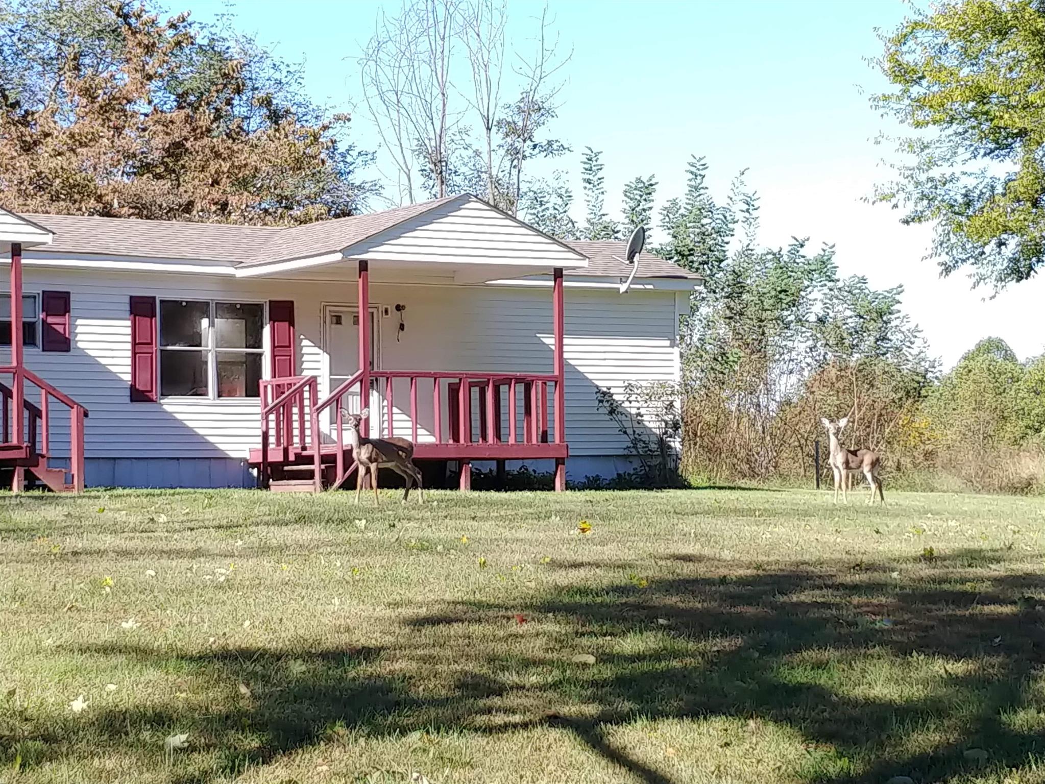 1560 Reese Road Bethpage, TN 37022 - Photo 4 of 22 a view of a house with garden
