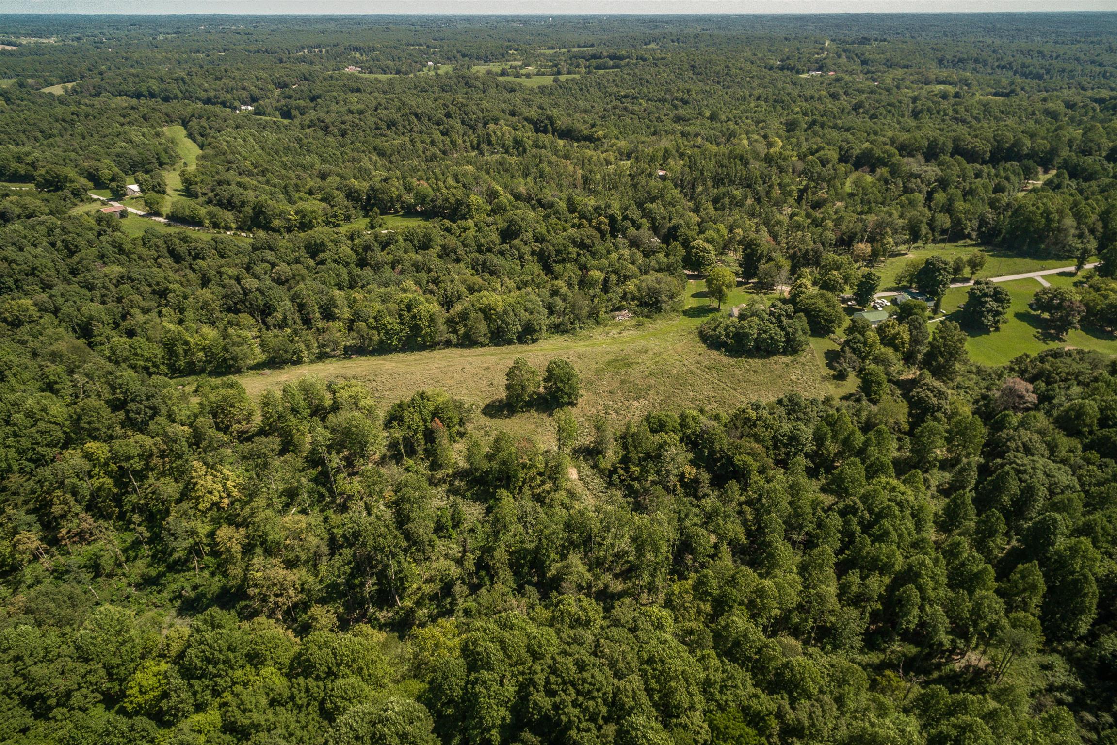 1560 Reese Road Bethpage, TN 37022 - Photo 6 of 22 an aerial view of residential houses with outdoor space and trees