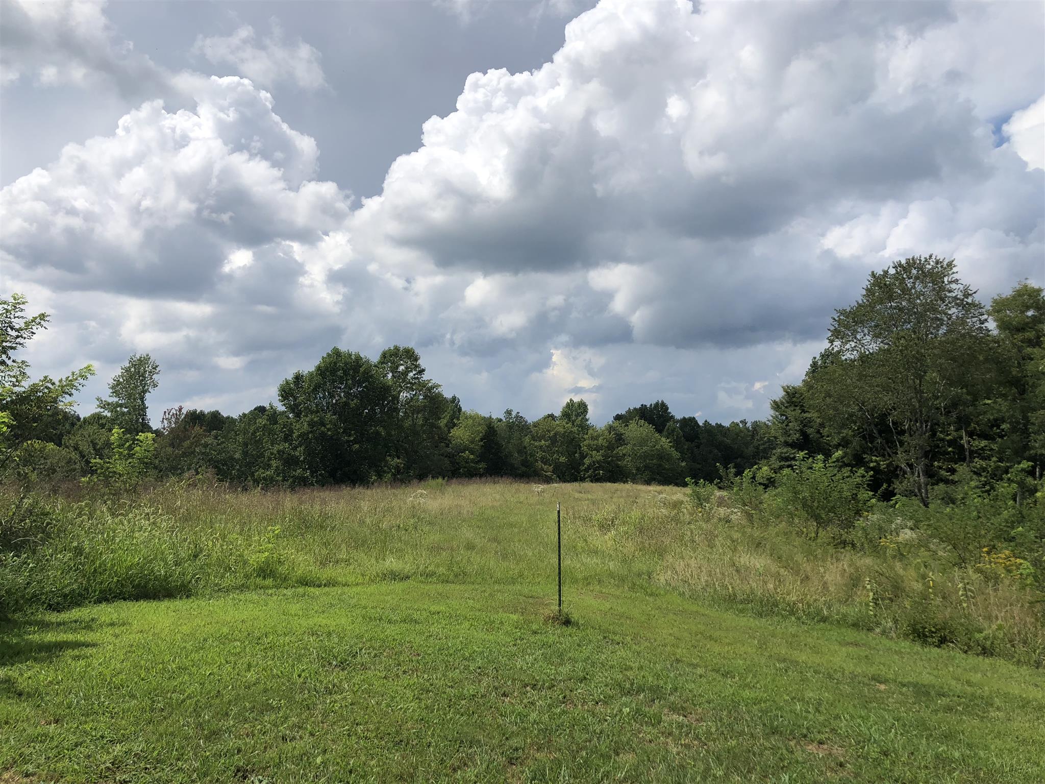 1560 Reese Road Bethpage, TN 37022 - Photo 8 of 22 a view of a lake with a yard