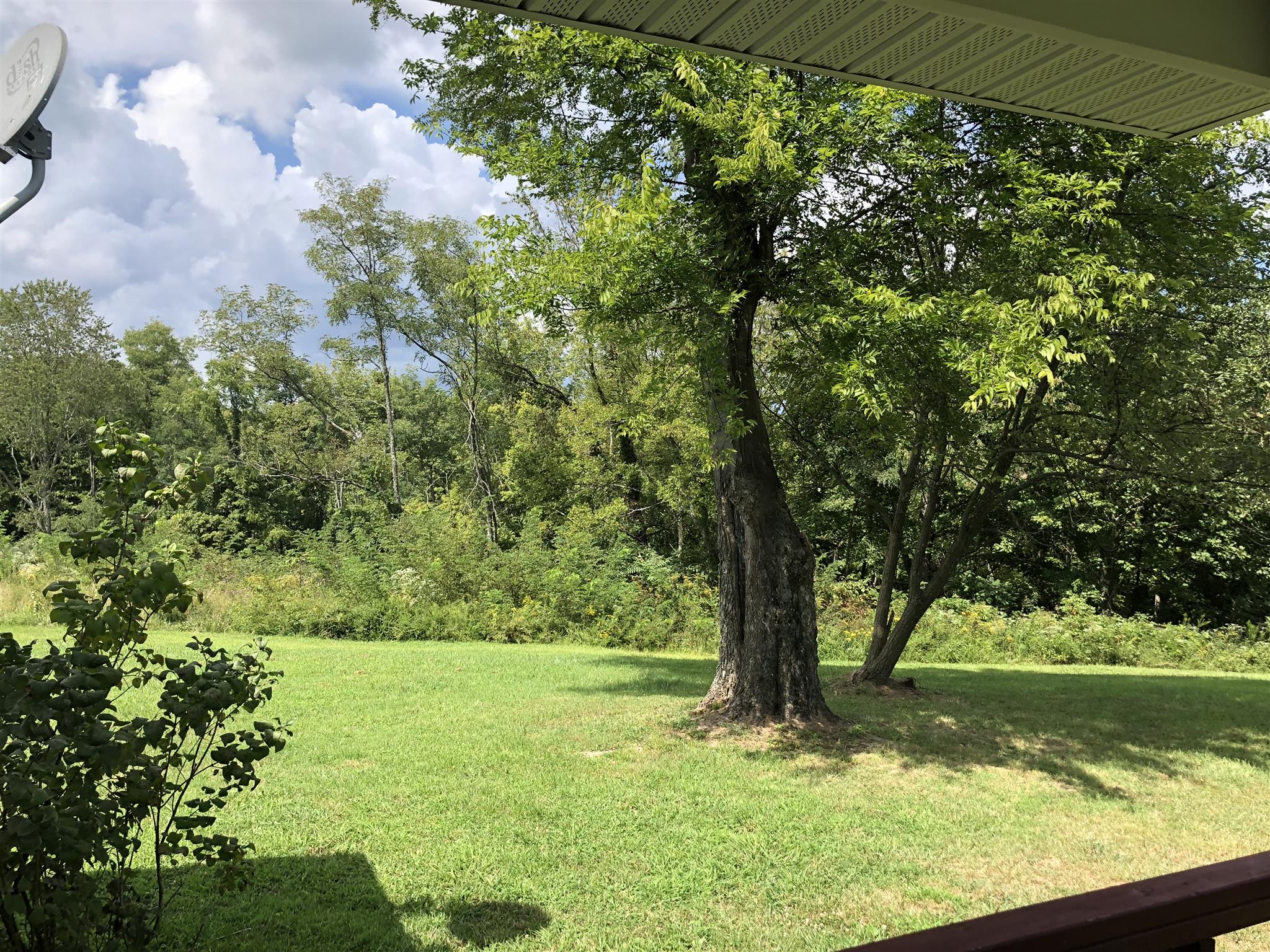 1560 Reese Road Bethpage, TN 37022 - Photo 10 of 22 a view of a yard with a tree