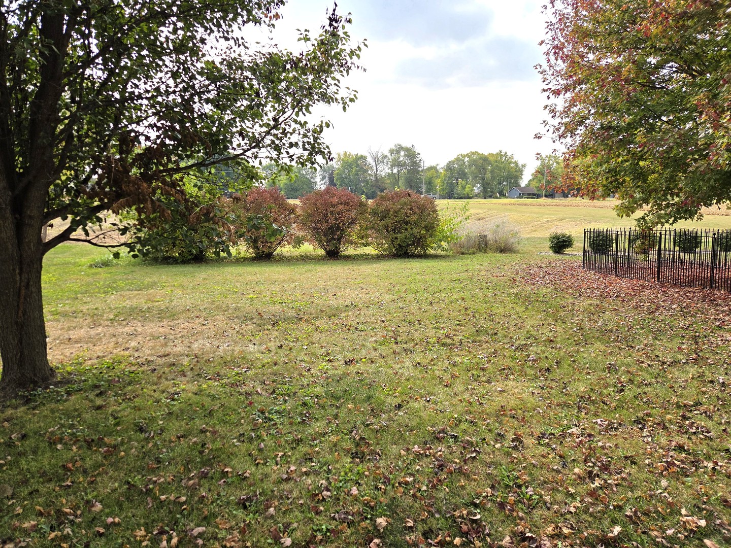 1494 Timber Ridge Court Kankakee, IL 60901 - Photo 14 of 14