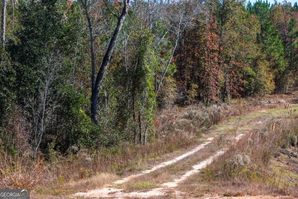 0 Morton Road Dublin, GA 31021 - Photo 14 of 38