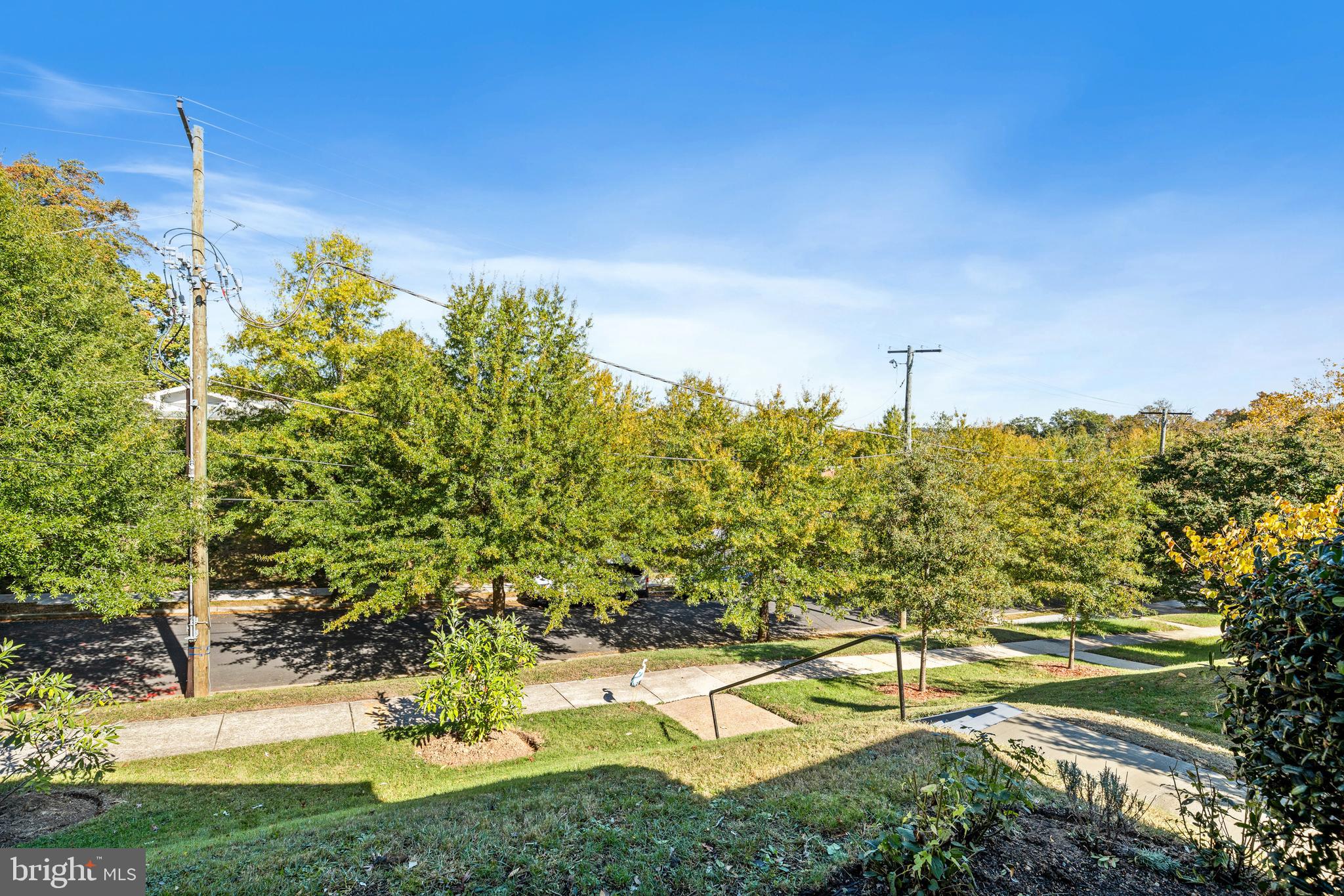 1327 Irving Street Northeast Washington, DC 20017 - Photo 5 of 39 a view of a yard with swimming pool