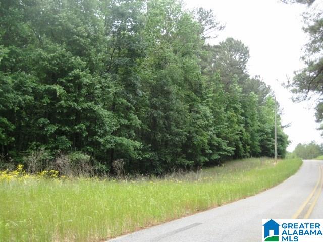 0 Sulphur Springs Road, Unit 10 ACRES Lincoln, AL 35096 - Photo 4 of 32