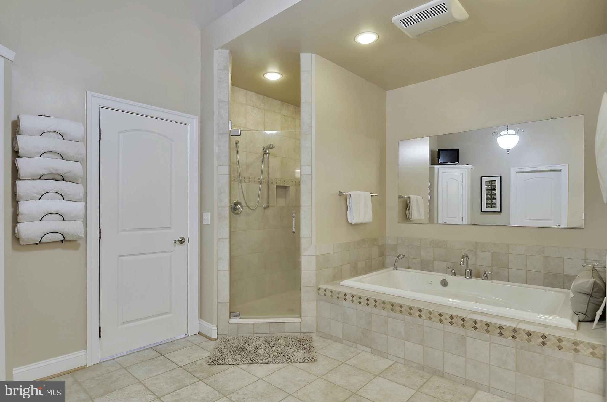 8727 Pete Wiles Road Middletown, MD 21769 - Photo 17 of 30 MAIN LEVEL MASTER SUITE'S SPA BATH