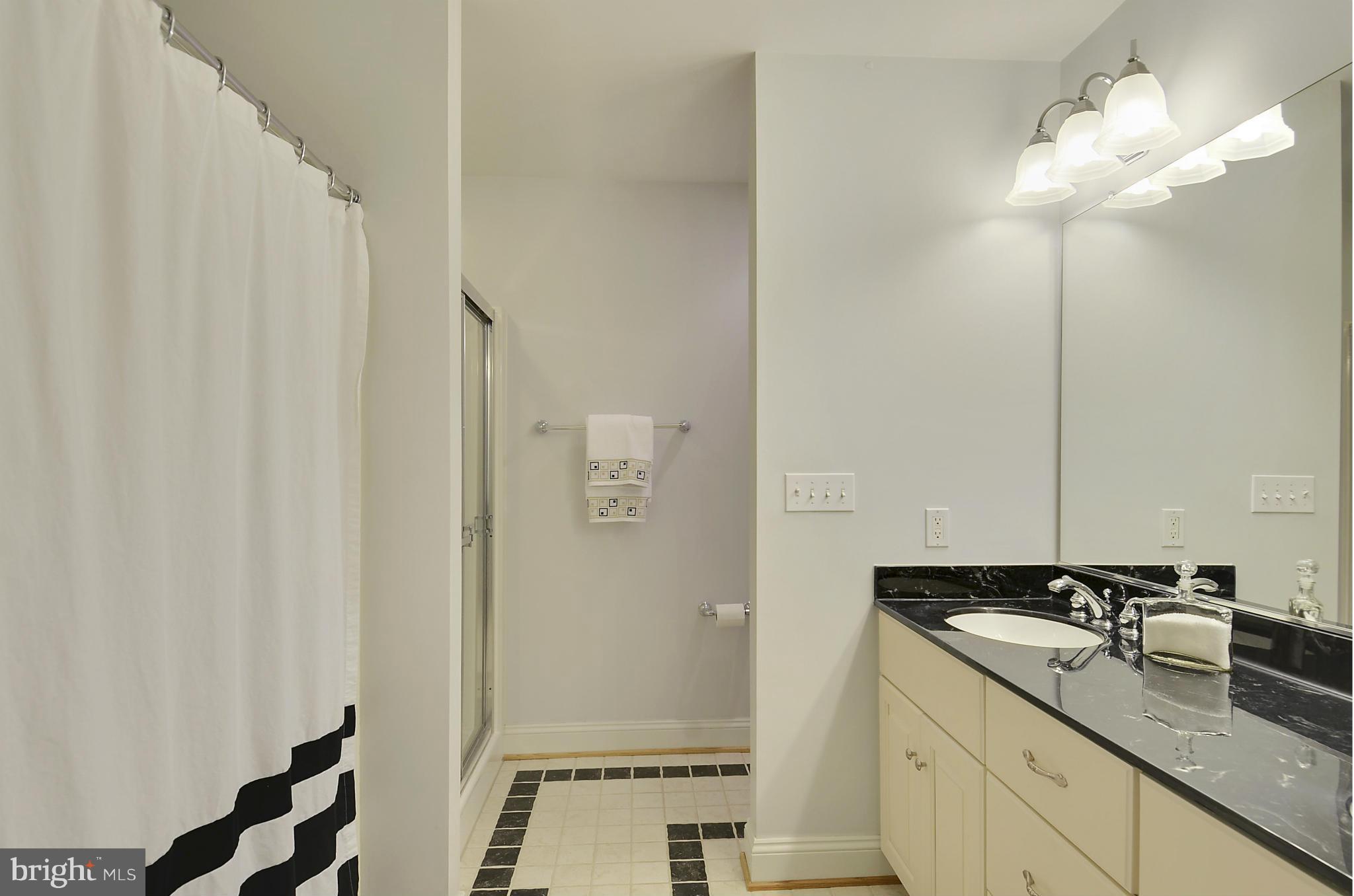 8727 Pete Wiles Road Middletown, MD 21769 - Photo 20 of 30 2ND LEVEL MASTER SUITE BATH