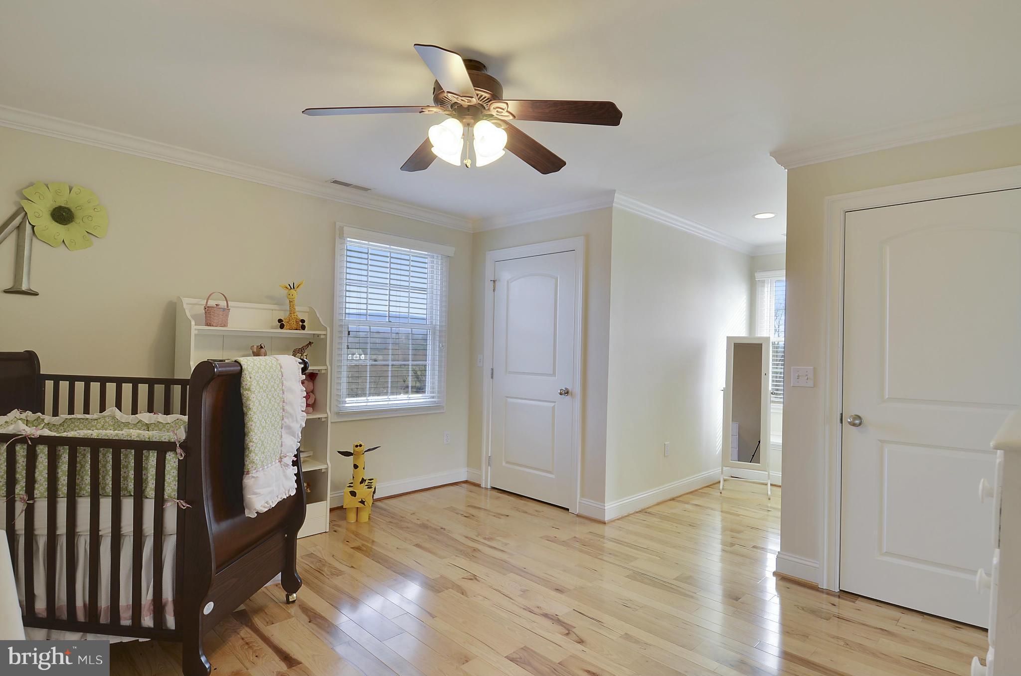 8727 Pete Wiles Road Middletown, MD 21769 - Photo 21 of 30 3RD BEDROOM