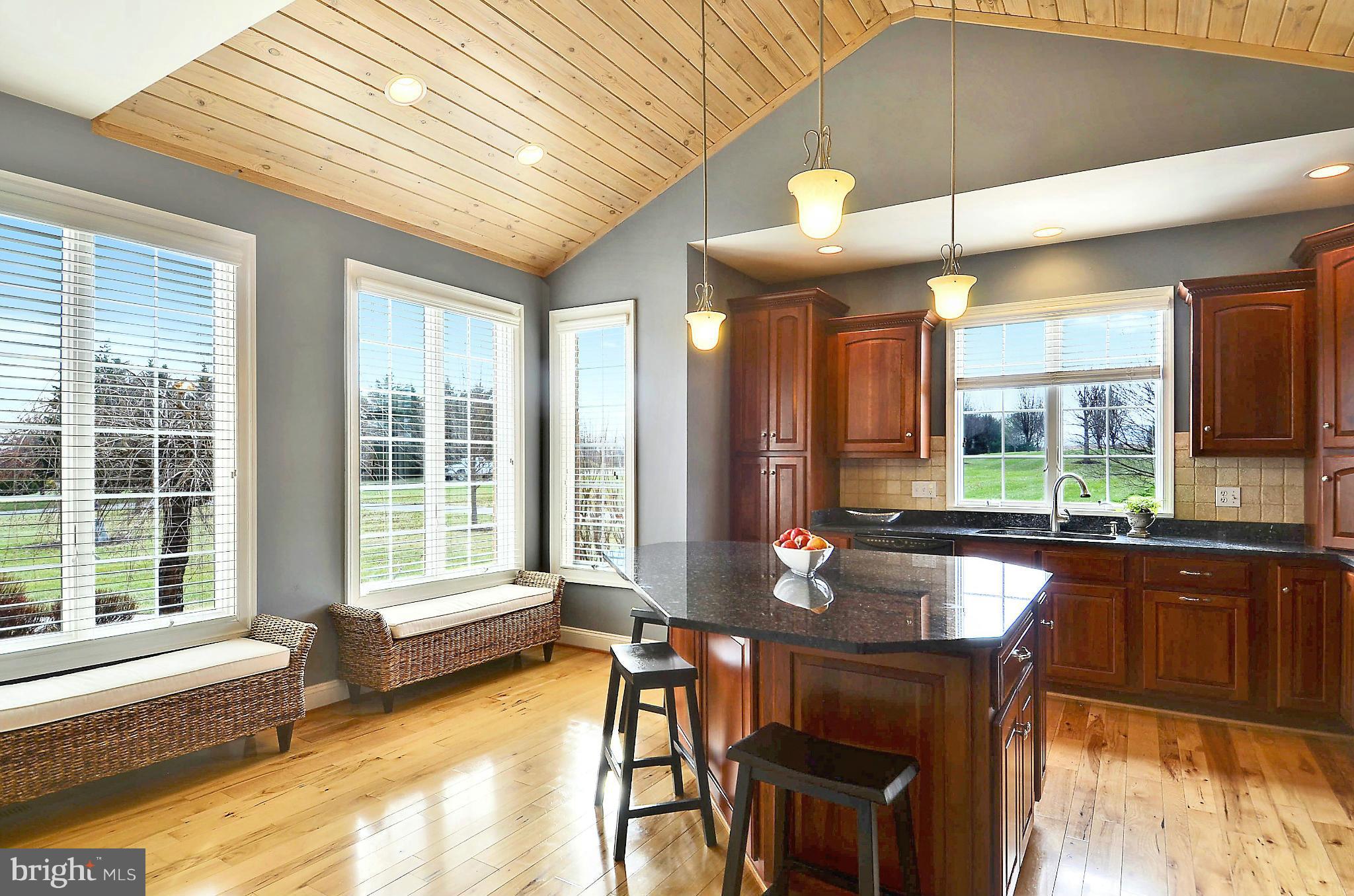 8727 Pete Wiles Road Middletown, MD 21769 - Photo 9 of 30 KITCHENS SHOULD LOOK THIS GOOD!