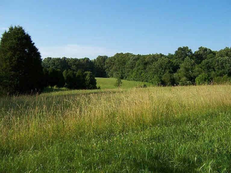 6039 West Fetz Harris Road Fredericksburg, IN 47120 - Photo 16 of 36 Gallery Image 16