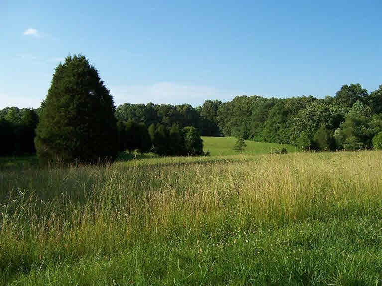 6039 West Fetz Harris Road Fredericksburg, IN 47120 - Photo 17 of 36 Gallery Image 17