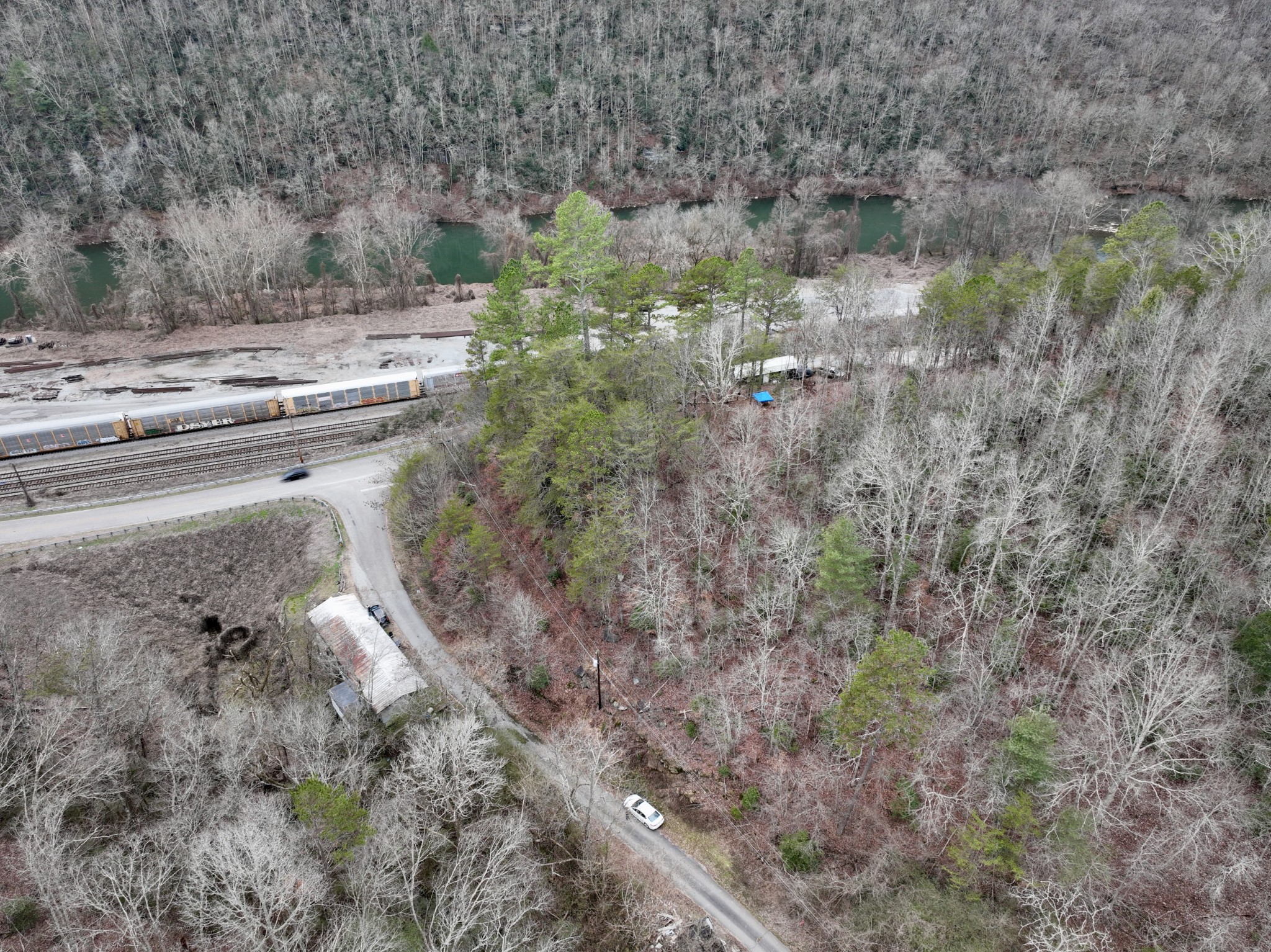 0 Reynolds Road Oakdale, TN 37829 - Photo 16 of 18 Gallery Image 16