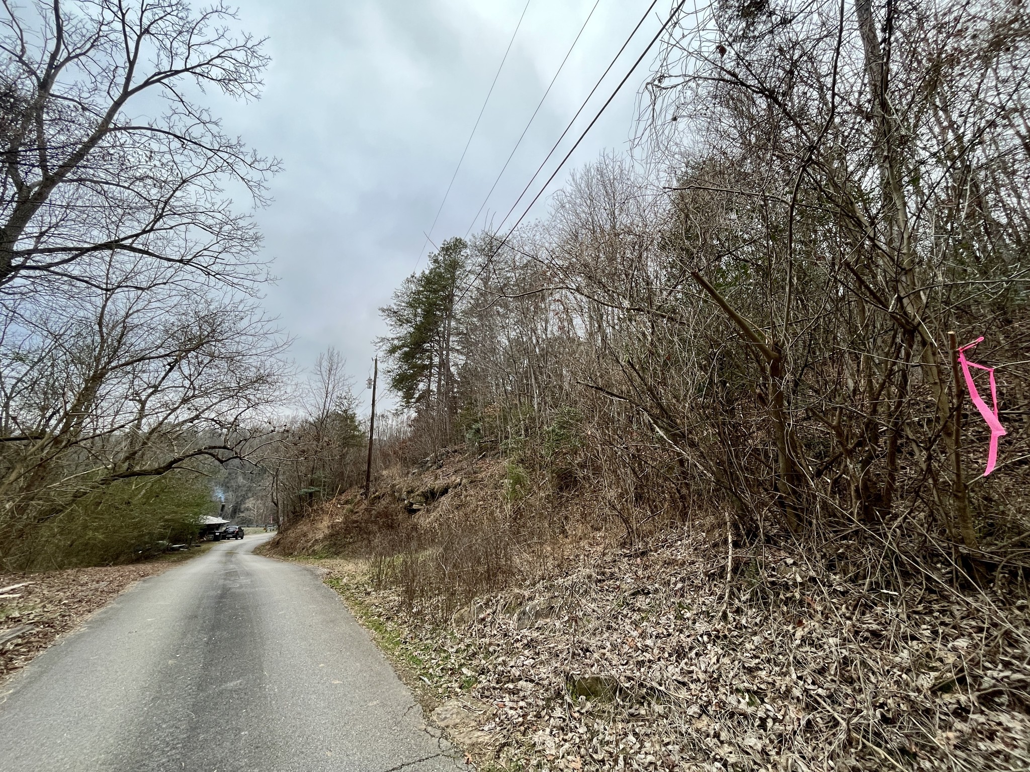 0 Reynolds Road Oakdale, TN 37829 - Photo 8 of 18 Gallery Image 8