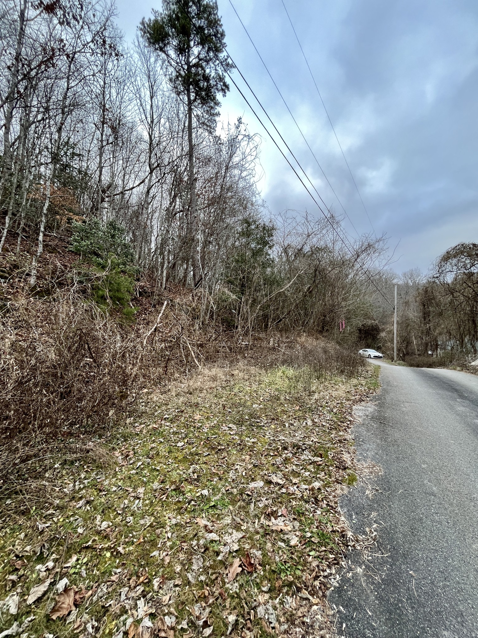 0 Reynolds Road Oakdale, TN 37829 - Photo 9 of 18 Gallery Image 9