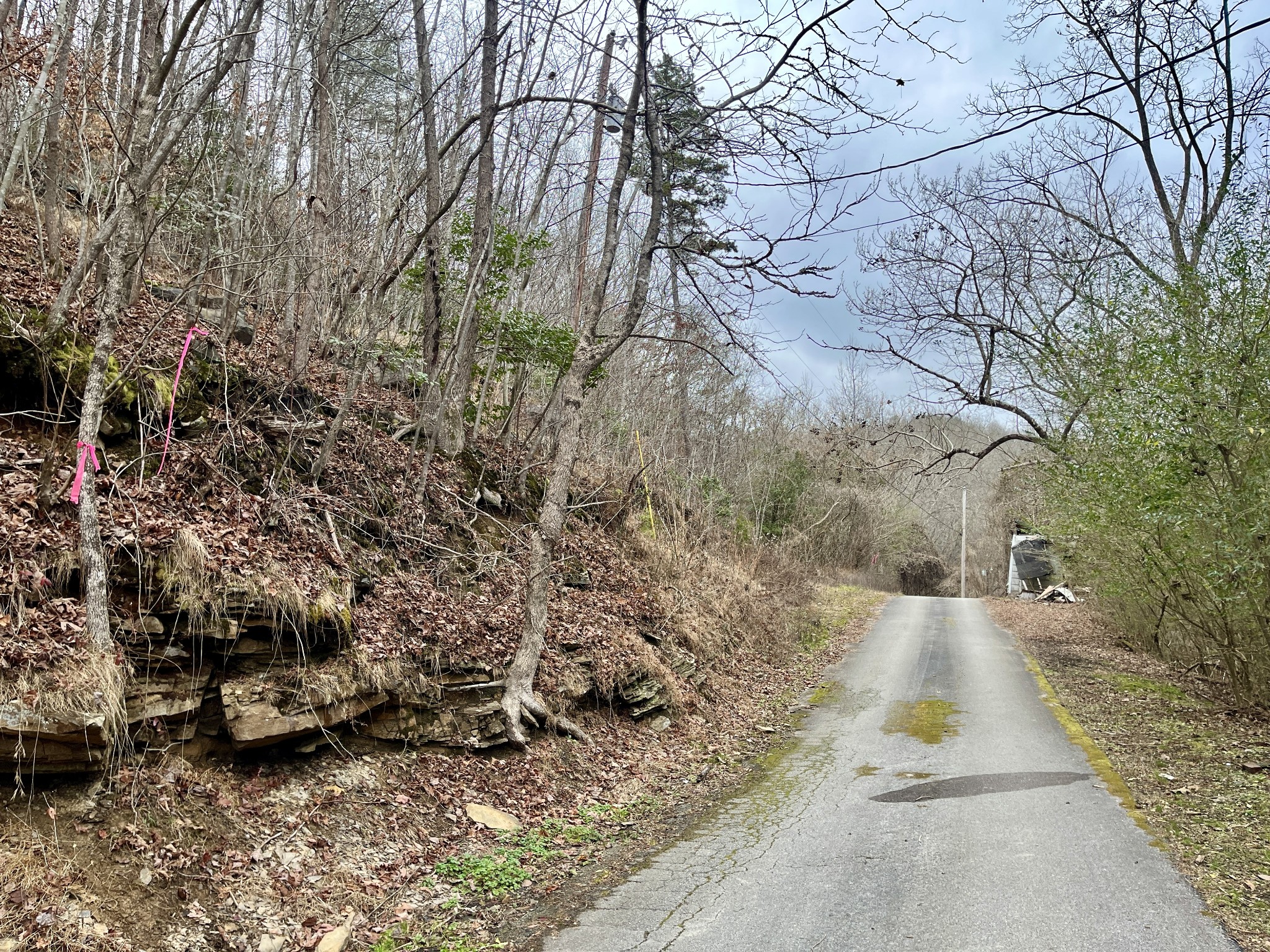 0 Reynolds Road Oakdale, TN 37829 - Photo 10 of 18 Gallery Image 10