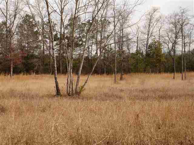 132 Roxy Ridge Richlands, NC 28574 - Photo 1 of 1 Primary Photo