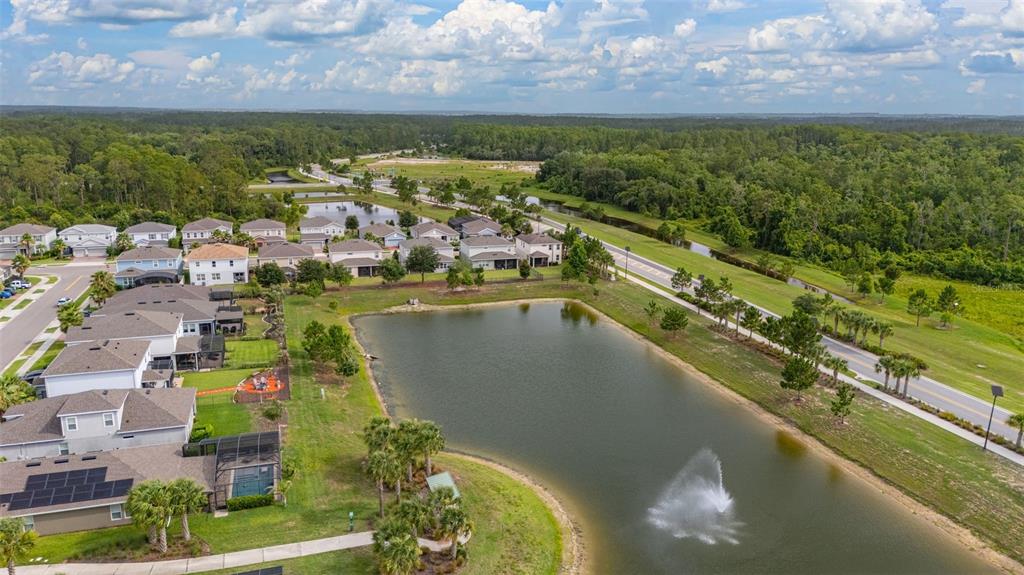 17023 Goldcrest Loop Clermont, FL 34714 - Photo 54 of 89