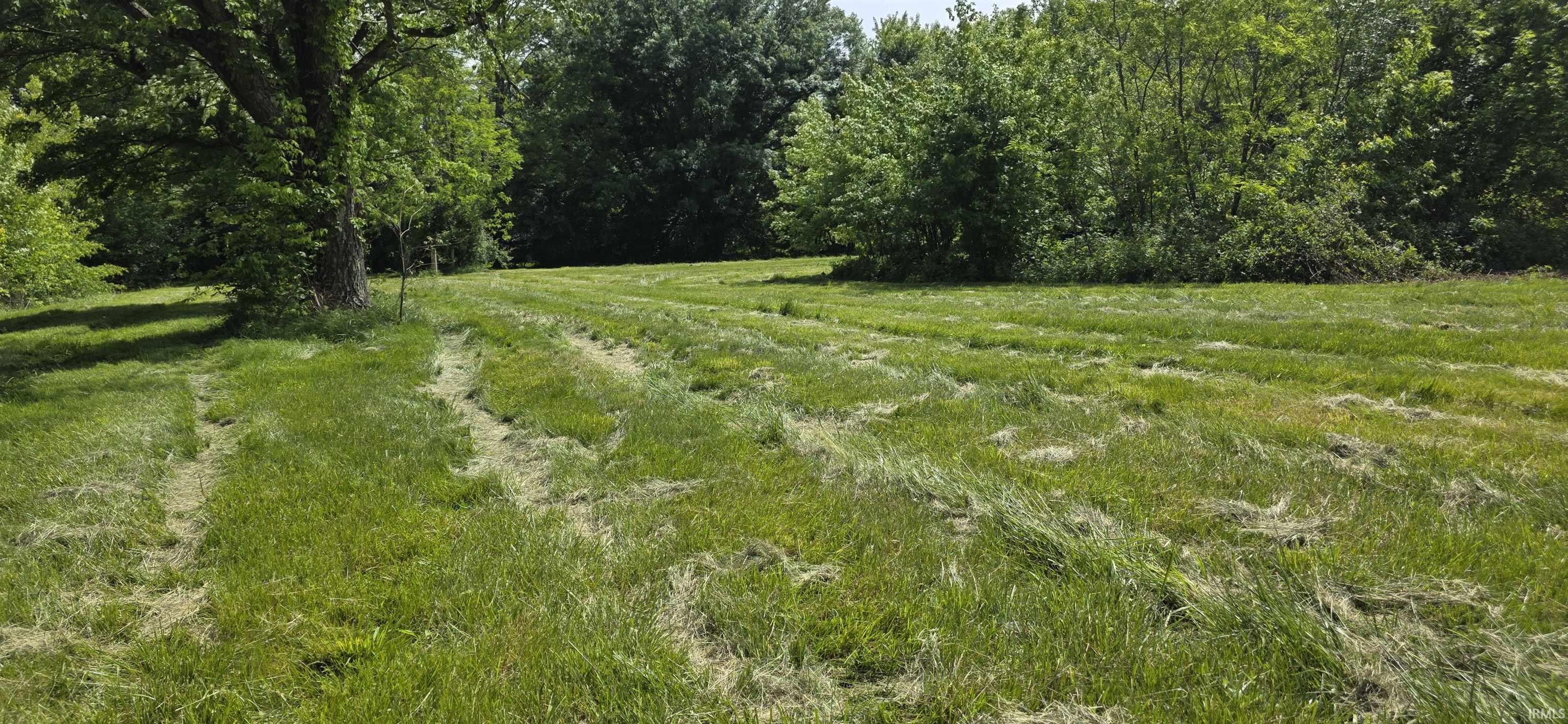 255 Spencer Pike Road Springville, IN 47462 - Photo 3 of 6 Gallery Image 3