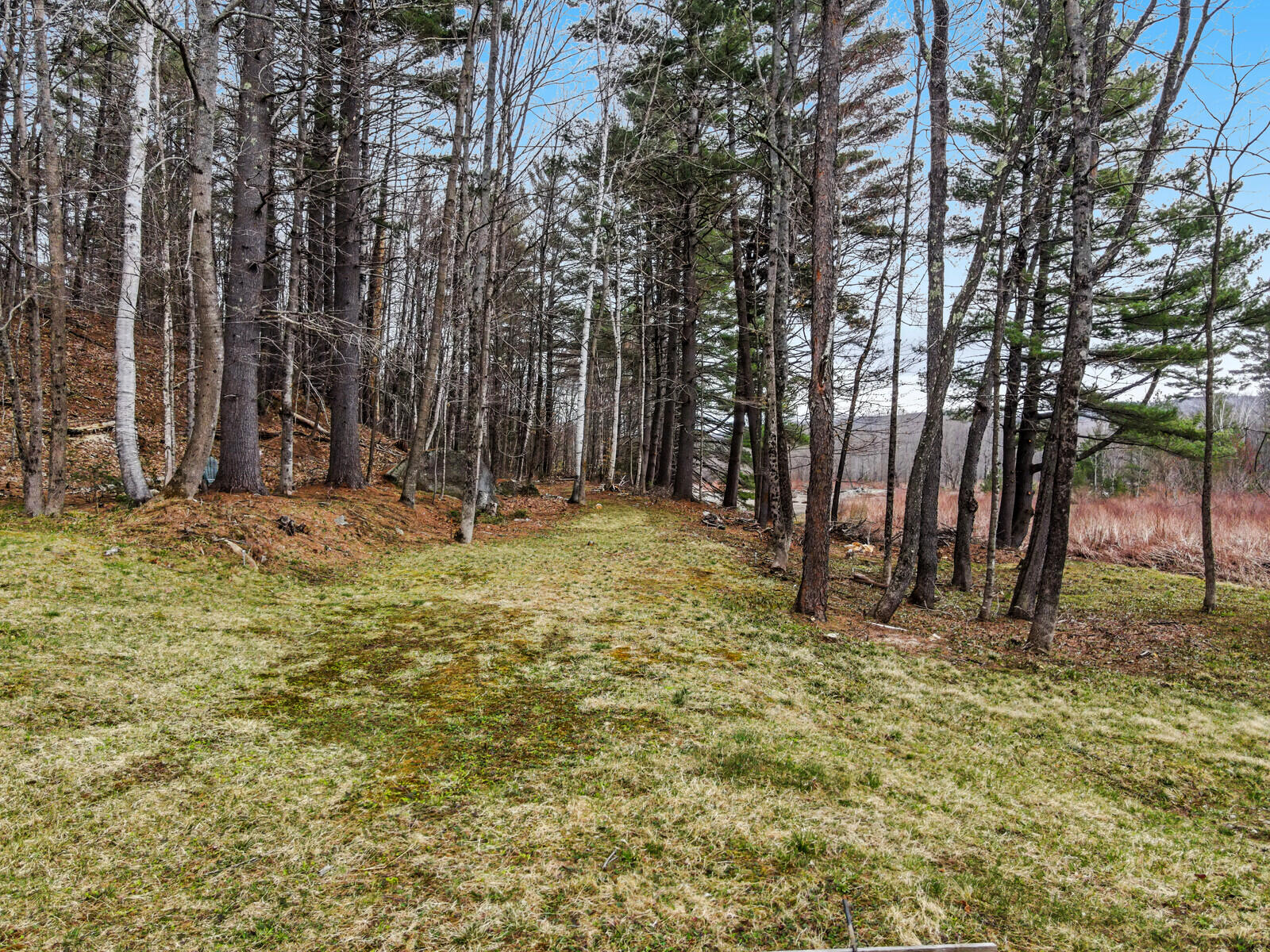 423 River Road Avon, ME 04966 - Photo 10 of 73 Leach field