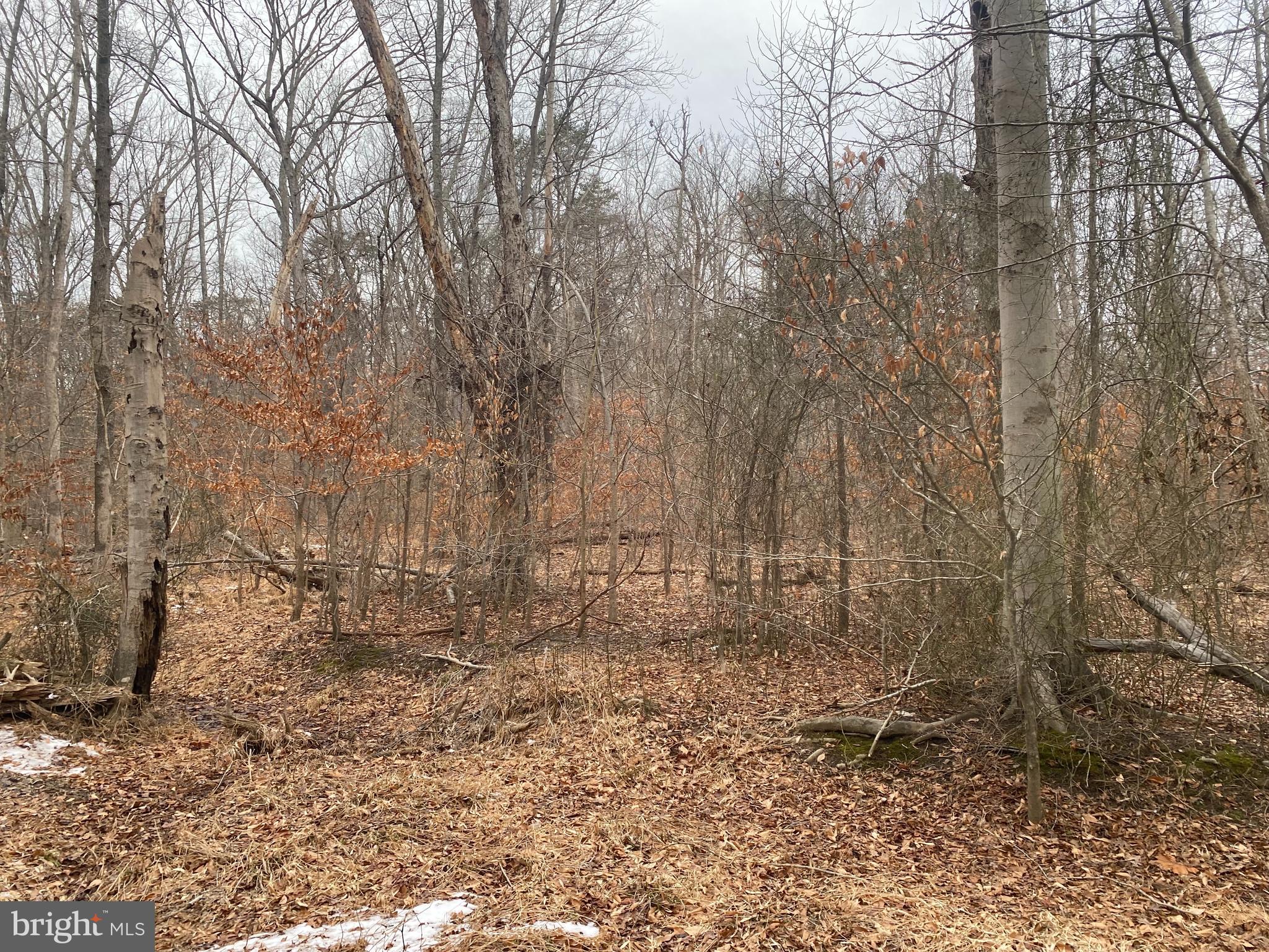 a view of small yard