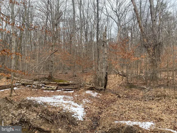 $47,400 | 14313 Jericho Park Road, Bowie, MD 20715