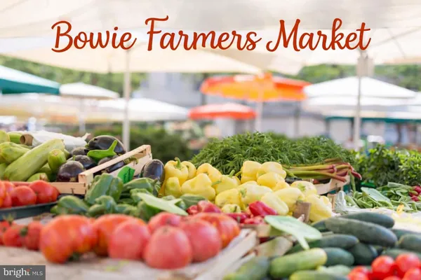 $47,400 | 14313 Jericho Park Road, Bowie, MD 20715