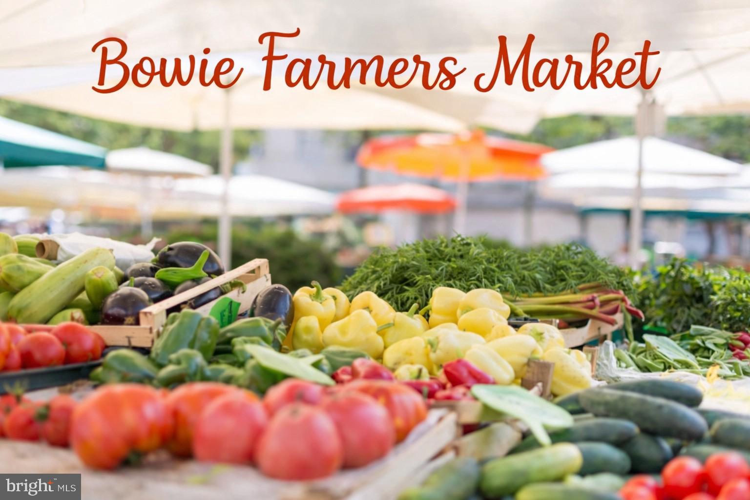 14313 Jericho Park Road Bowie, MD 20715 - Photo 7 of 7 a view of a bunch of flowers