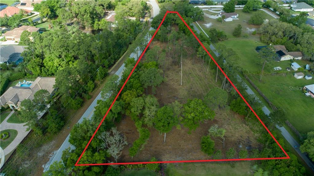 a view of a yard with plants