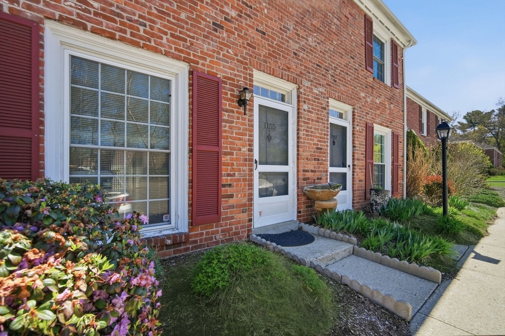 a view of a potted plant in front of a house