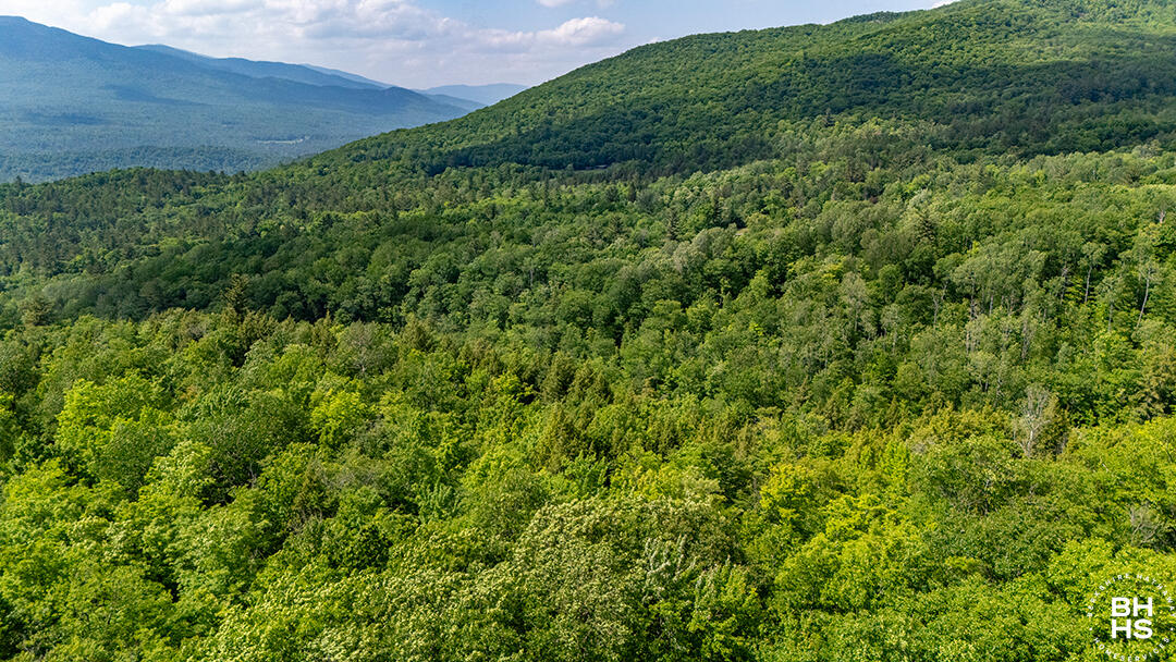 0 Jackson Road Keene, NY 12942 - Photo 11 of 12 LandOnJacksonInKeene_A_Land_MTN