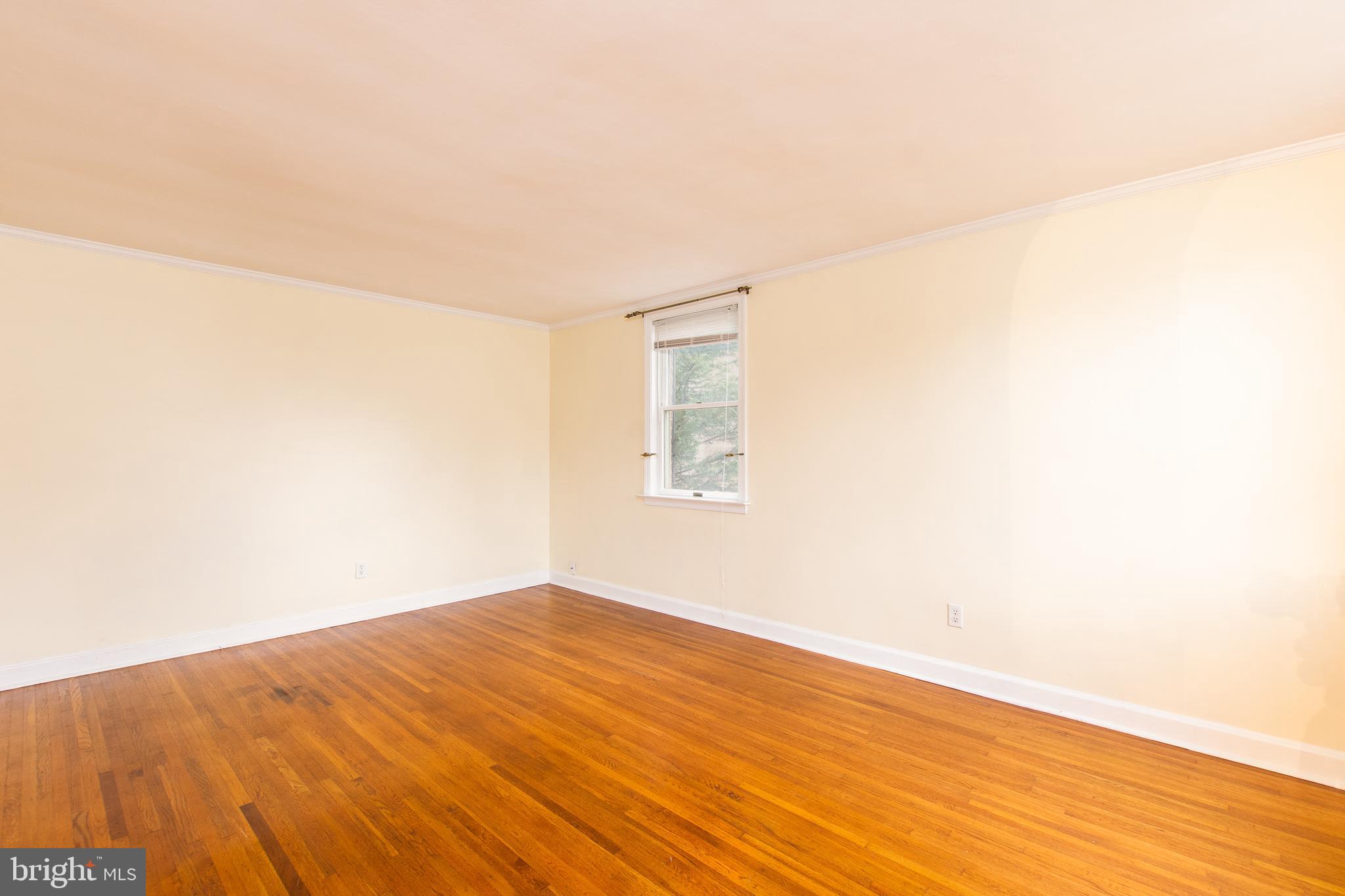 102 Murphy Road Wilmington, DE 19803 - Photo 3 of 18 Gallery Image 3