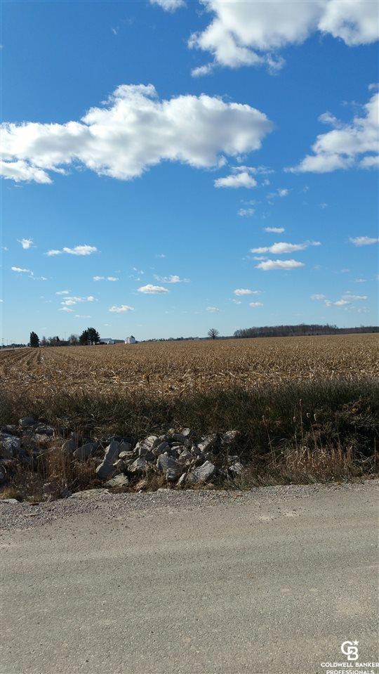 Vacant Land North State/allan Road Owosso, MI 48867 - Photo 6 of 7