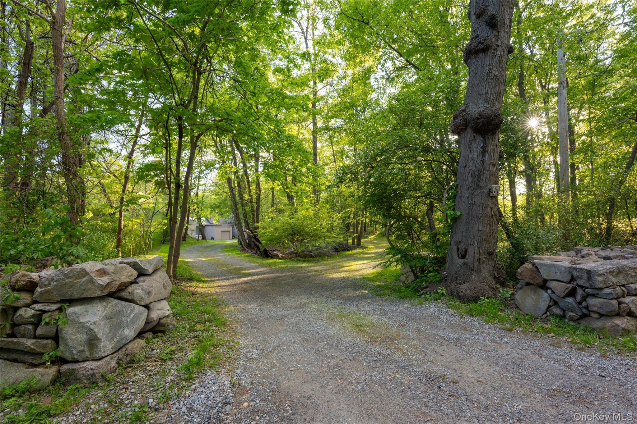 61 Indian Brook Road Garrison, NY 10524 - Photo 5 of 23 a view of backyard with outdoor and green space