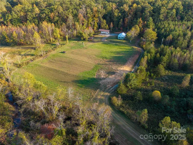 a view of yard with green space