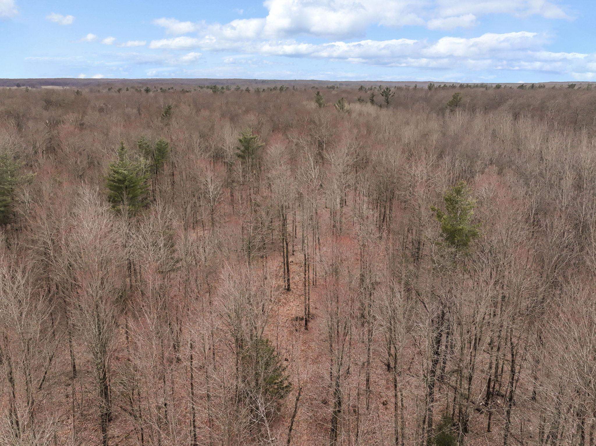 11470 Lund School Road Southwest Fife Lake, MI 49633 - Photo 28 of 35