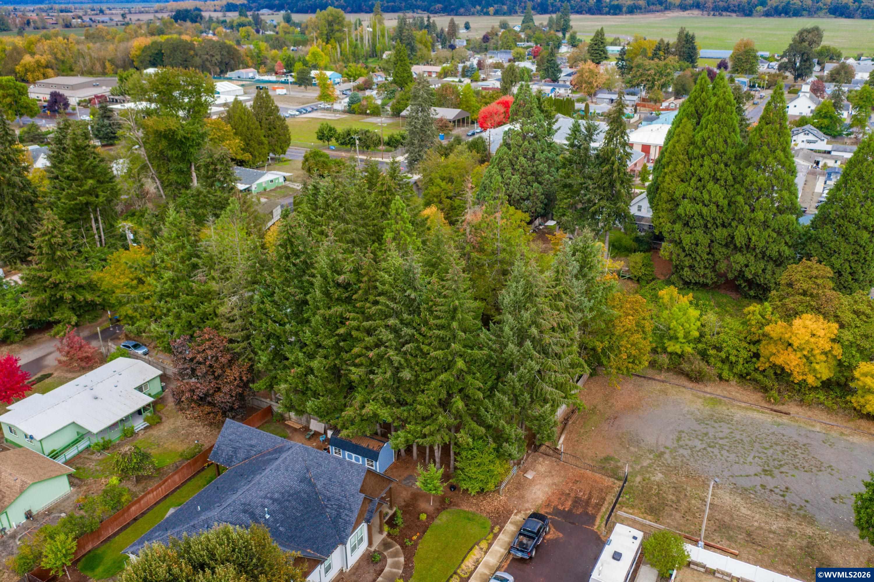 Lot 030100 Southwest Beech Street Scio, OR 97374 - Photo 7 of 41
