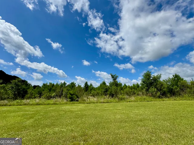 a view of an outdoor space and yard