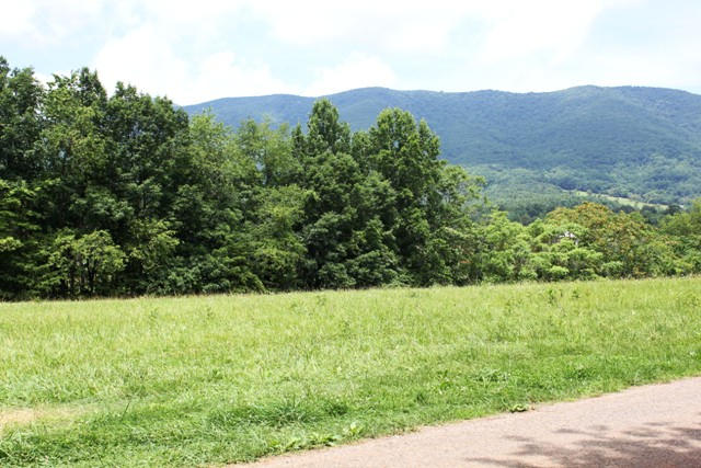 401 Monty Road Boones Mill, VA 24065 - Photo 4 of 30 a view of tall trees and a yard