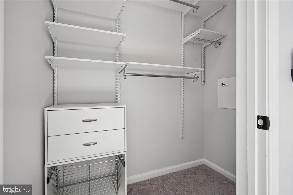 12000 Market Street, Unit 371 Reston, VA 20190 - Photo 25 of 81 walk in closet with storage