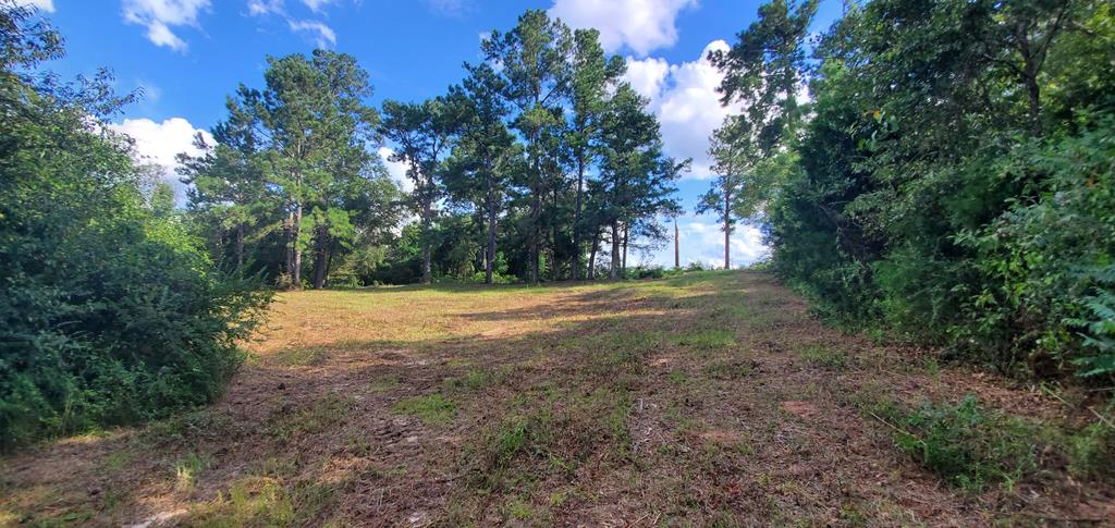 3-acres Bill Yance Road Columbia, AL 36319 - Photo 1 of 1