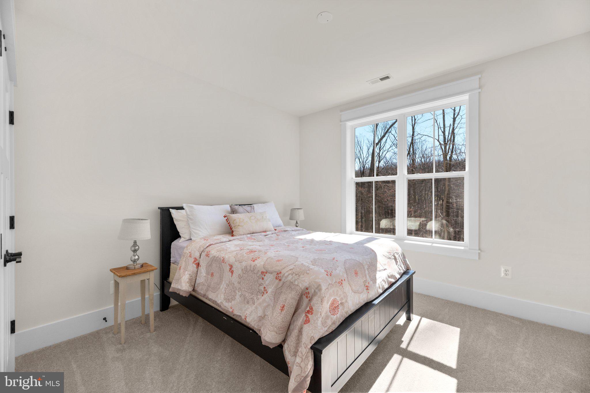 3806 Basford Road Frederick, MD 21703 - Photo 54 of 104
