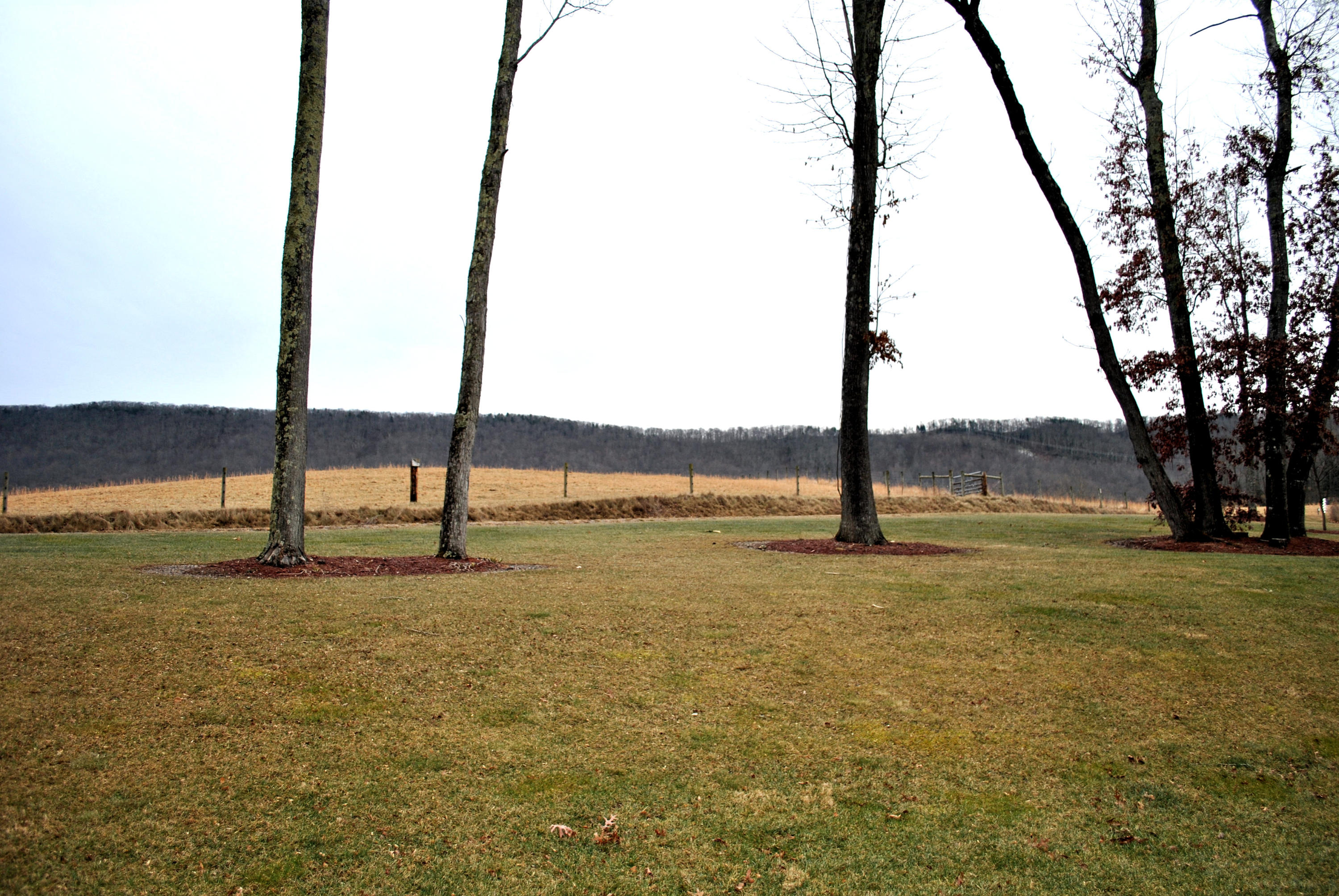 4551 Northside Road Newport, VA 24128 - Photo 17 of 91 View From Front Porch
