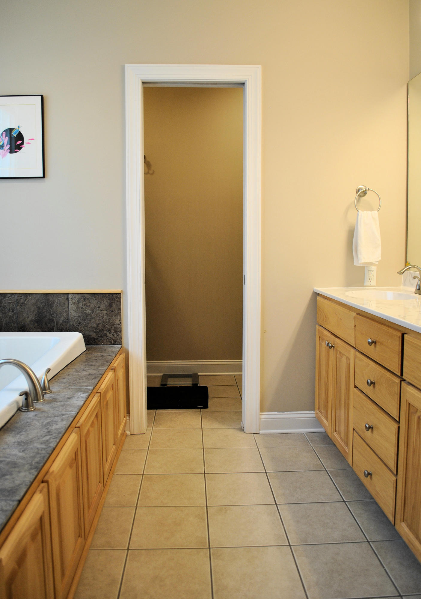 4551 Northside Road Newport, VA 24128 - Photo 40 of 91 Master Bath