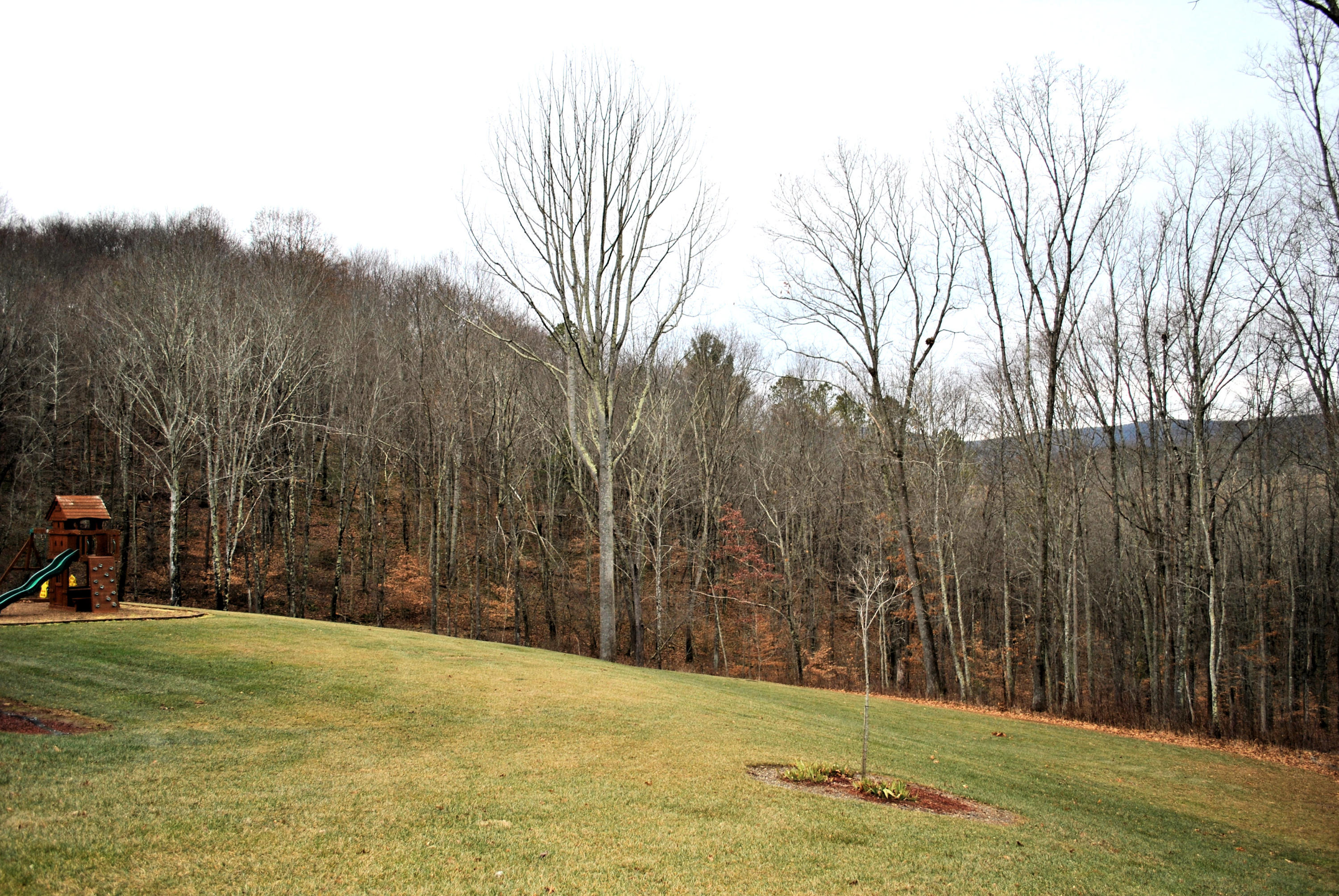 4551 Northside Road Newport, VA 24128 - Photo 9 of 91 Backyard