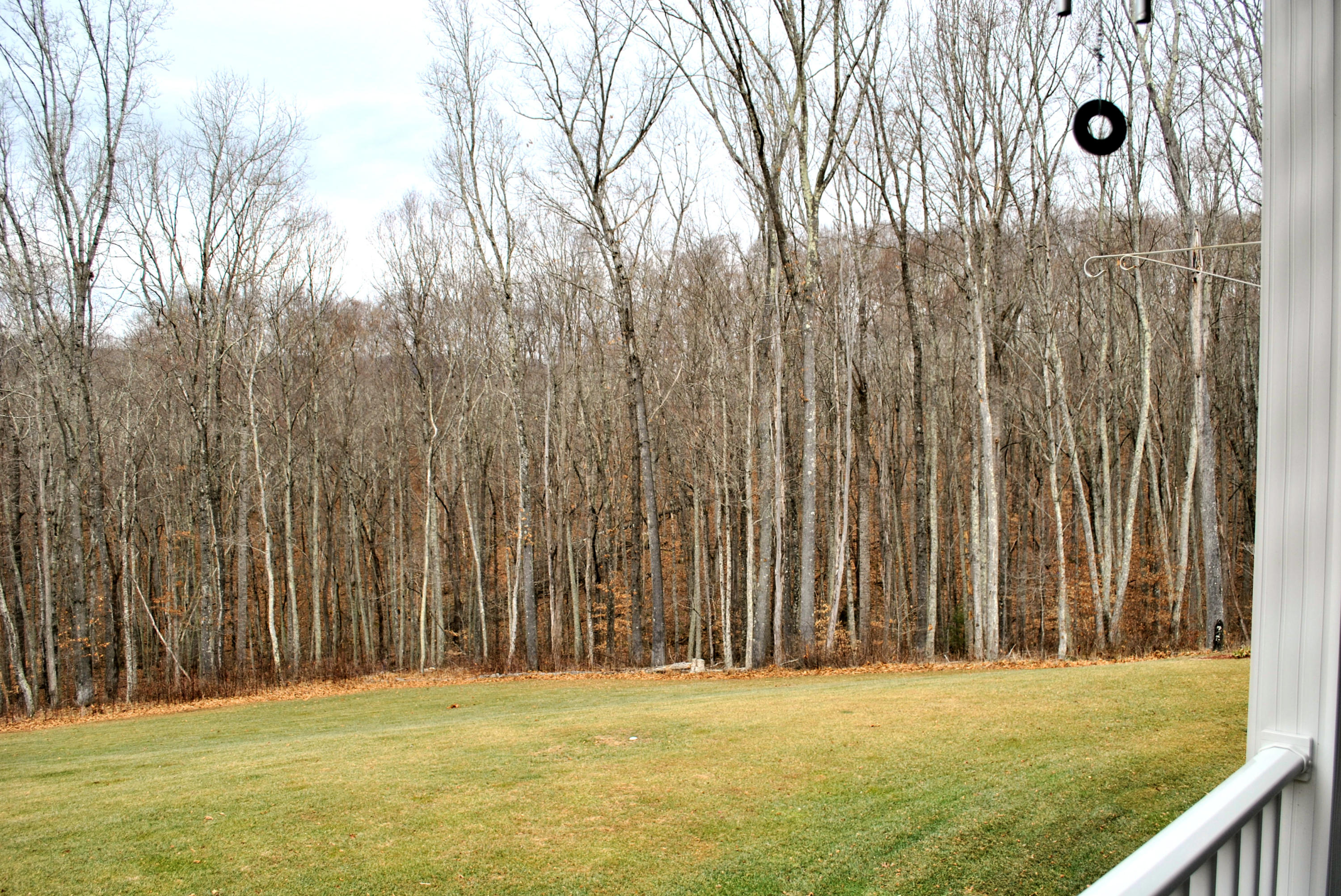 4551 Northside Road Newport, VA 24128 - Photo 89 of 91 View From Back Deck
