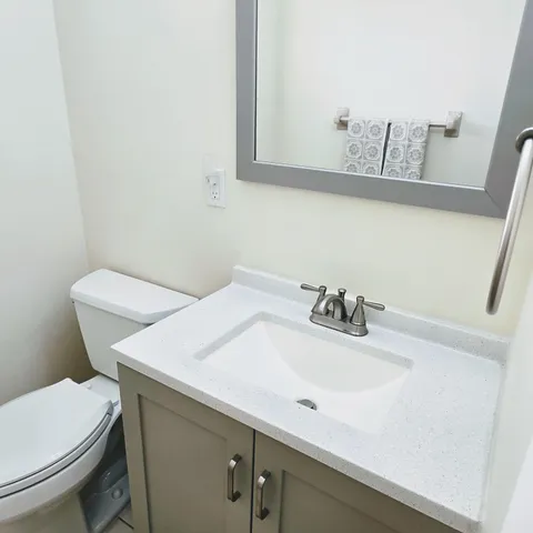 a bathroom with a sink and a toilet