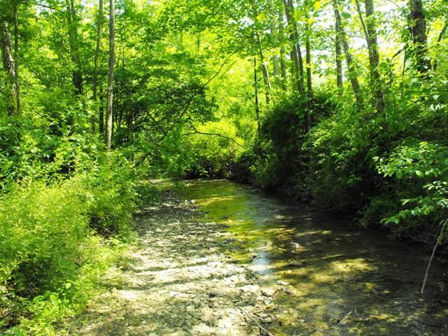 1080 Punkin Hollow Road Stanton, KY 40380 - Photo 16 of 39 Photo 16