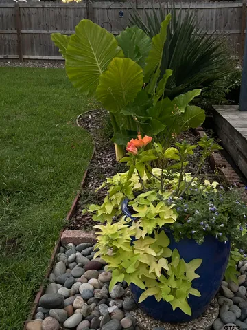 a view of outdoor space with garden