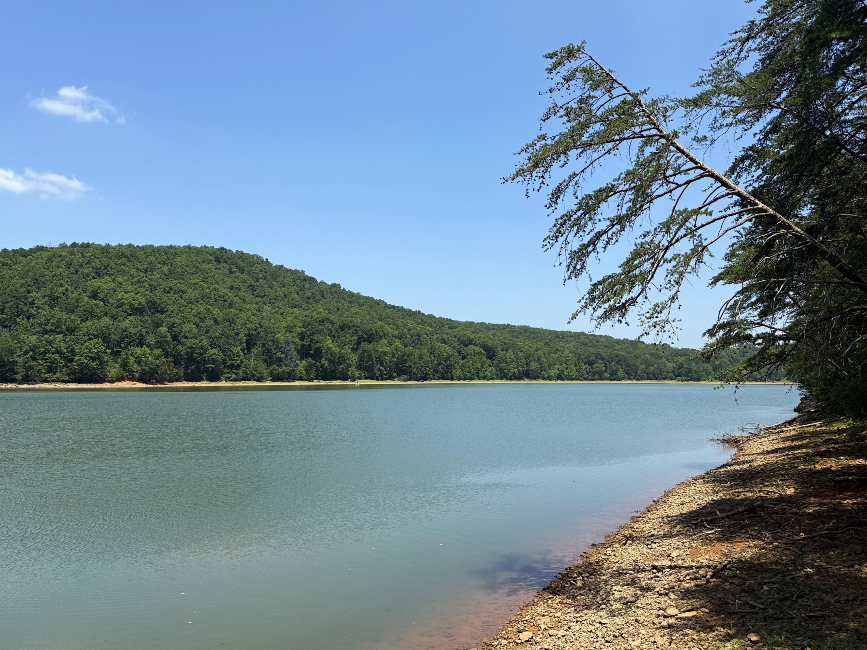 Lot 61 Garrison Ridge Pittsville, VA 24139 - Photo 8 of 14 IMG_9932