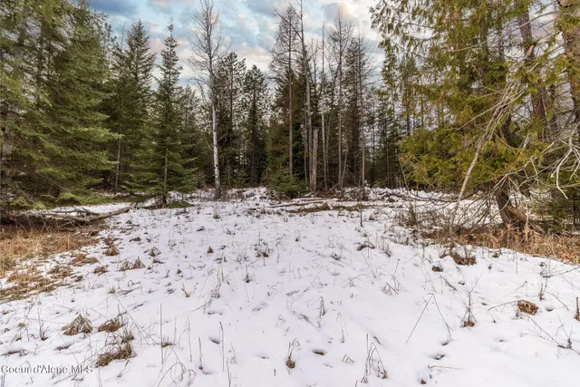 $375,000 | Lot 41 Highway 57 Priest River, Priest River, ID 83856
