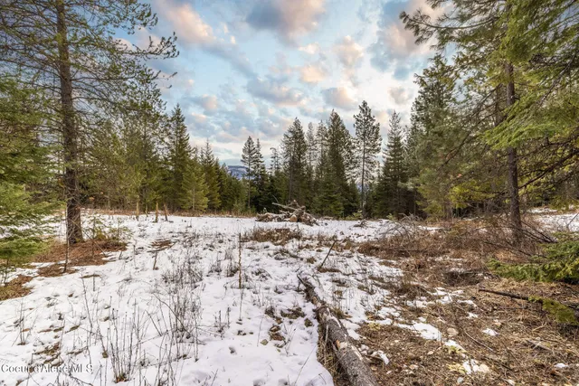 $375,000 | Lot 41 Highway 57 Priest River, Priest River, ID 83856